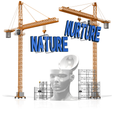 custom_text_into_head_15842